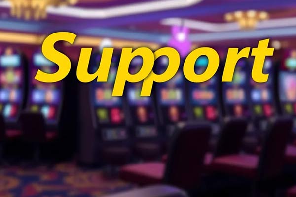 Техподдержка